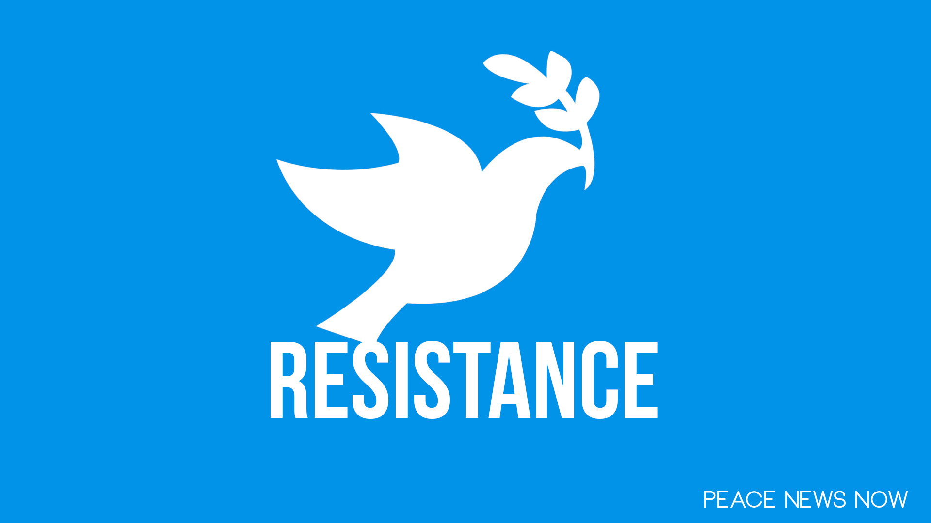 PNN #125 5 Different Models of Peaceful Resistance (from this week)
